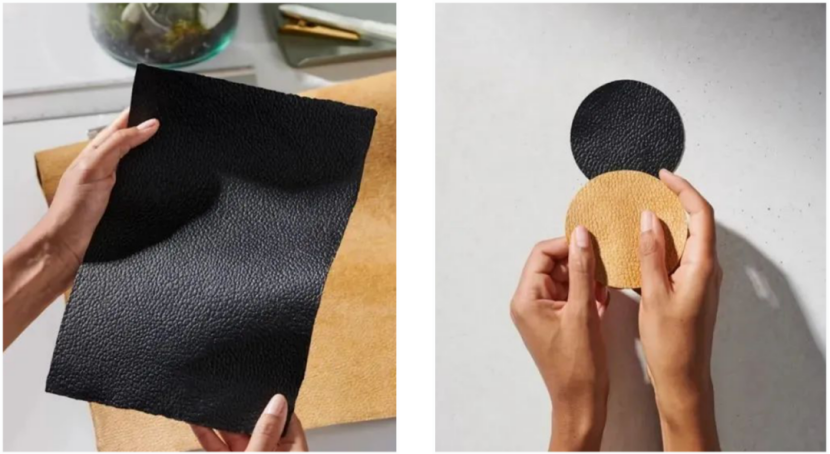 Mylo, which is made of mycelium Mylo, which is made of mycelium