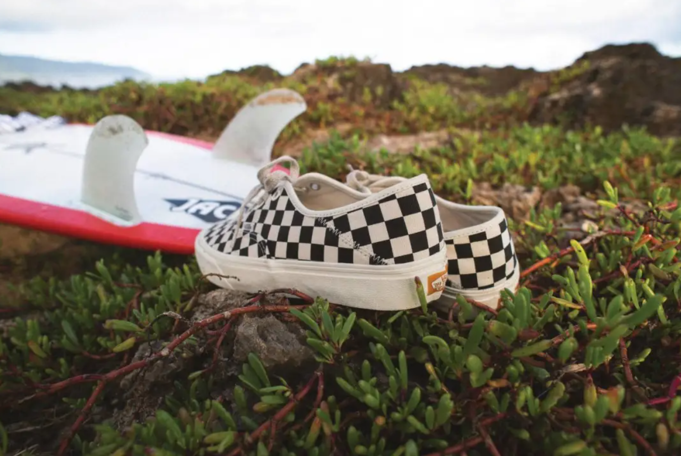 vans shoes eco collection
